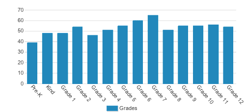 Lee-Scott Academy Student By Grade Lee-Scott Academy Student By Grade