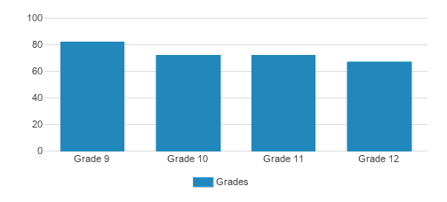 Lutheran High School Student By Grade Lutheran High School Student By Grade