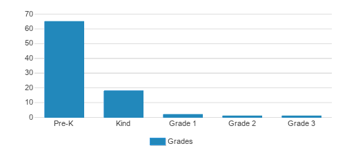 Starz Academy Student By Grade 