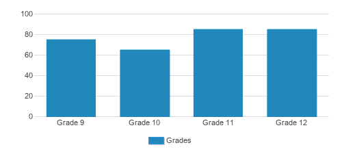 The Cambridge School Of Weston Student By Grade The Cambridge School Of Weston Student By Grade