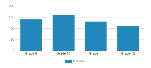 Brother Rice High School Student By Grade Brother Rice High School Student By Grade