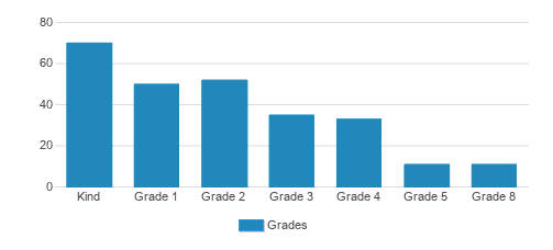Nelson Mandela Continuation School Student By Grade Nelson Mandela Continuation School Student By Grade