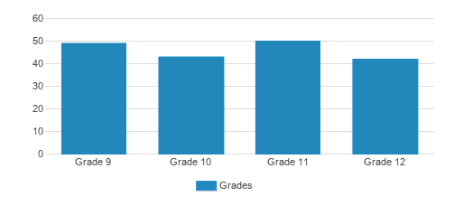 Community High School Student By Grade Community High School Student By Grade