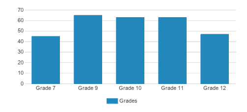 Al-ghazaly Junior/Senior High School Student By Grade Al-ghazaly Junior/Senior High School Student By Grade
