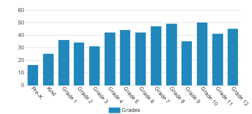 The Charles Finney School Student By Grade The Charles Finney School Student By Grade