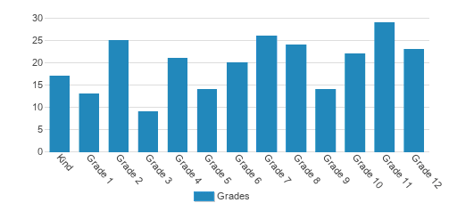 Christiam Central Academy Student By Grade Christiam Central Academy Student By Grade