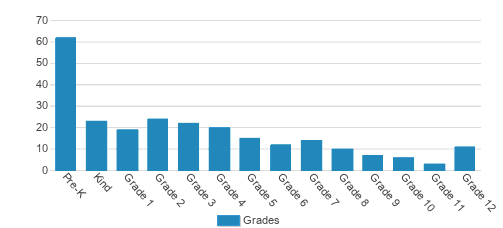 The Homestead School Student By Grade The Homestead School Student By Grade
