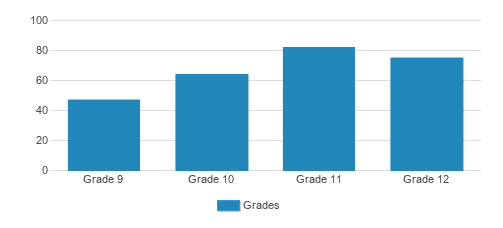 Idyllwild Arts Academy Student By Grade 