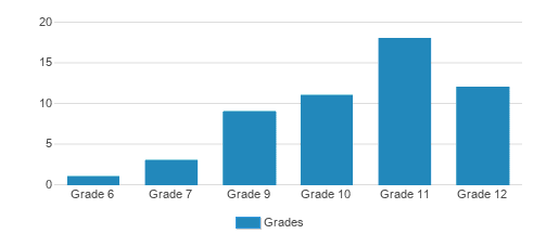 Sinai Academic Center Student By Grade Sinai Academic Center Student By Grade