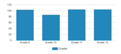 St. Dominic High School Student By Grade St. Dominic High School Student By Grade