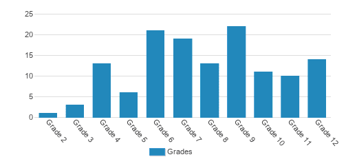 Noble Academy Student By Grade Noble Academy Student By Grade