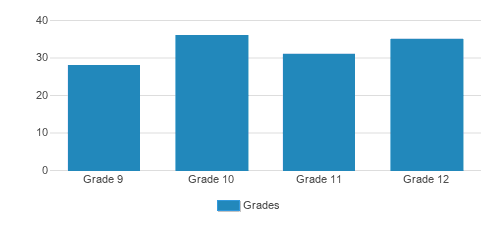 Telshe High School Student By Grade  Telshe High School Student By Grade