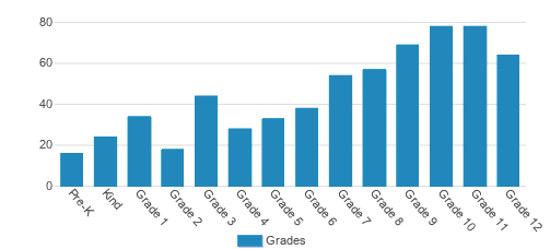 The Agnes Irwin School Student By Grade The Agnes Irwin School Student By Grade
