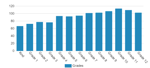 Christ Church Episcopal School Student By Grade Christ Church Episcopal School Student By Grade