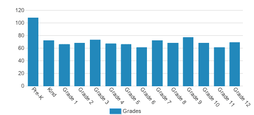 Columbia Academy Student By Grade Columbia Academy Student By Grade