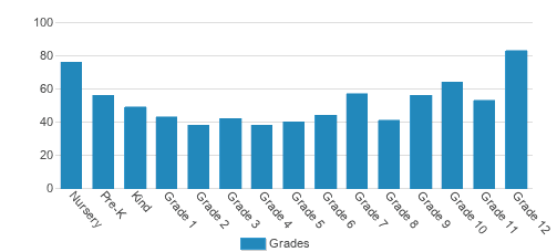 Davidson Academy Student By Grade  Davidson Academy Student By Grade