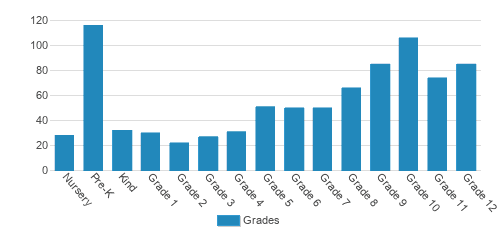 St. Agnes Academy-st. Dominic School Student By Grade St. Agnes Academy-st. Dominic School Student By Grade