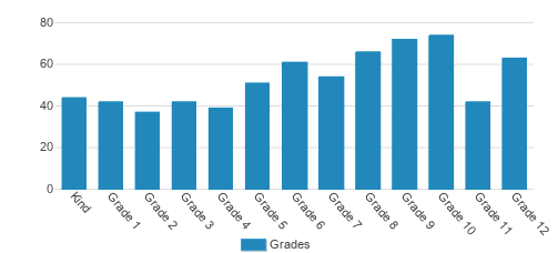 Cypress Christian School Student By Grade Cypress Christian School Student By Grade