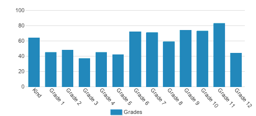 Cypress Christian School Student By Grade Cypress Christian School Student By Grade
