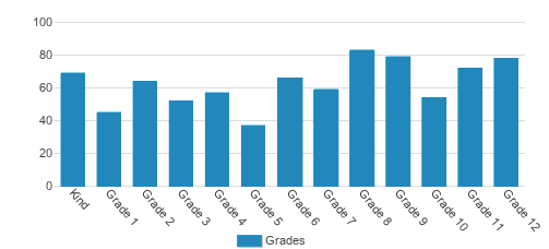 Cypress Christian School Student By Grade Cypress Christian School Student By Grade