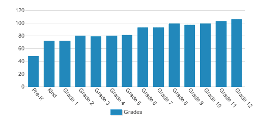 The John Cooper School Student By Grade The John Cooper School Student By Grade