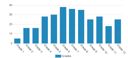 The Briarwood School Student By Grade The Briarwood School Student By Grade