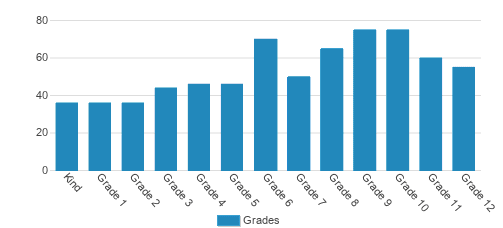 Trinity Christian School Student By Grade Trinity Christian School Student By Grade