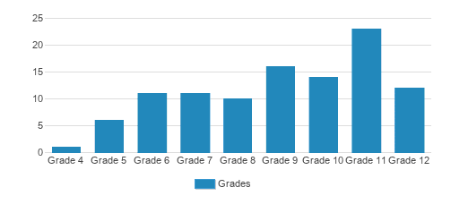 Center Academy - Riverview Student By Grade Center Academy - Riverview Student By Grade