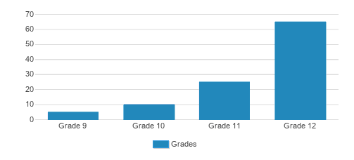 Lighthouse High School Student By Grade Lighthouse High School Student By Grade