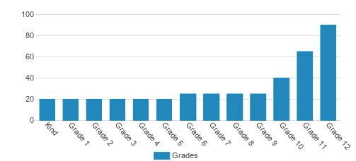 Life Preparatory Academy Student By Grade Life Preparatory Academy Student By Grade
