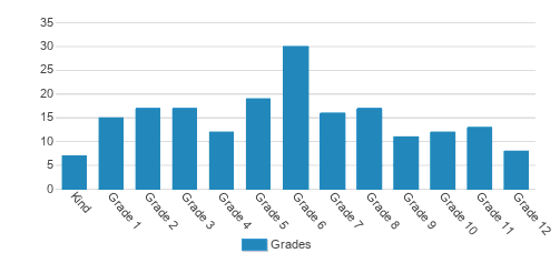 The IDEAL School of Manhattan Student By Grade The IDEAL School of Manhattan Student By Grade