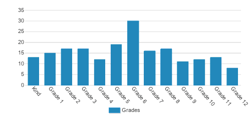 The IDEAL School of Manhattan Student By Grade The IDEAL School of Manhattan Student By Grade