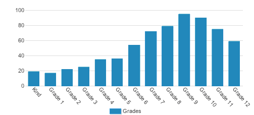 Forest Trail Academy Student By Grade Forest Trail Academy Student By Grade