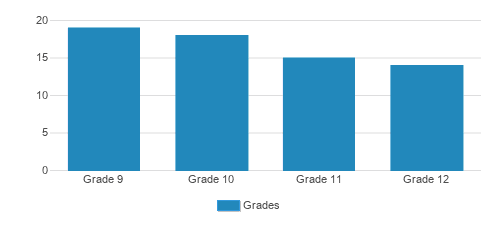 Community High School Student By Grade Community High School Student By Grade