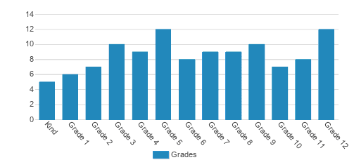 Academy For Precision Learning Student By Grade Academy For Precision Learning Student By Grade