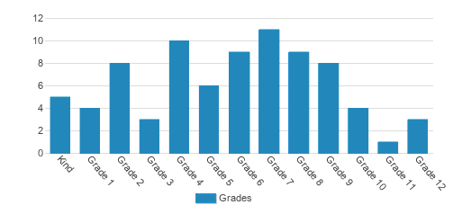 Bee Academy Student By Grade Bee Academy Student By Grade