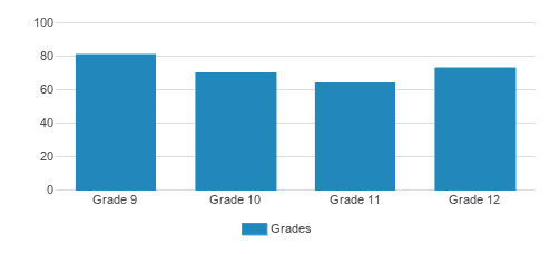 Seton Catholic College Preparatory High School Student By Grade Seton Catholic College Preparatory High School Student By Grade