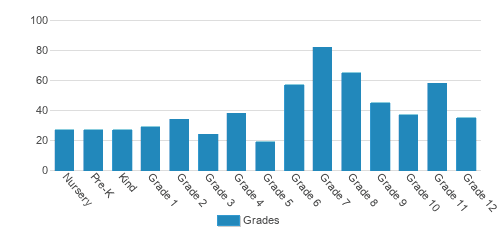 British International School of Chicago-South Loop Student By Grade British International School of Chicago-South Loop Student By Grade