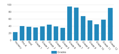 British International School of Chicago-South Loop Student By Grade  British International School of Chicago-South Loop Student By Grade
