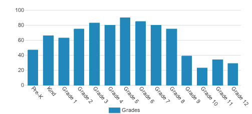 BASIS Independent Brooklyn Student By Grade BASIS Independent Brooklyn Student By Grade