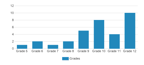 Little City Foundation Childbridge Ctr For Educ Student By Grade Little City Foundation Childbridge Ctr For Educ Student By Grade