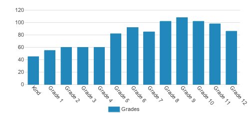 Faith Christian Academy - High School Student By Grade Faith Christian Academy - High School Student By Grade