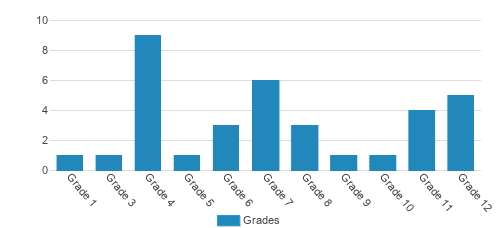 Academy of Innovation Student By Grade Academy of Innovation Student By Grade