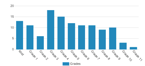 Hifz Academy Student By Grade Hifz Academy Student By Grade