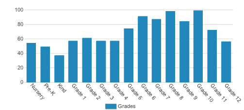 Carrollwood Day School Student By Grade Carrollwood Day School Student By Grade