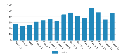 Carrollwood Day School Student By Grade Carrollwood Day School Student By Grade