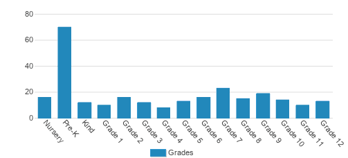 Tampa Bay Christian Academy Student By Grade Tampa Bay Christian Academy Student By Grade