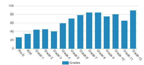 Whitefield Academy Student By Grade Whitefield Academy Student By Grade