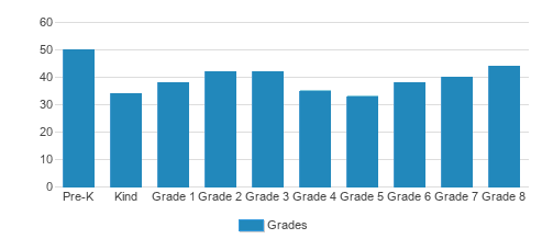 Christ The King Elementary School Student By Grade Christ The King Elementary School Student By Grade