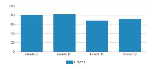 Rosary High School Student By Grade Rosary High School Student By Grade